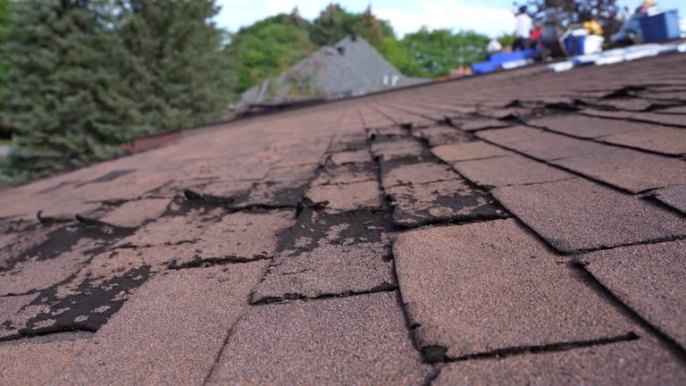 Best Emergency Roof Repair Services  in West Hollywood, CA