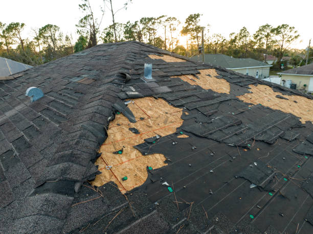 Fast & Reliable Emergency Roof Repairs in West Hollywood, CA